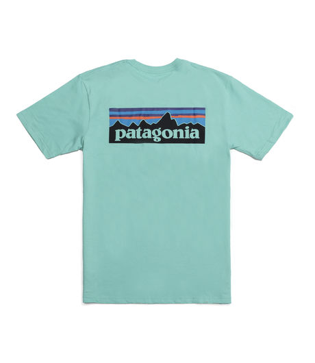 Patagonia Men's P-6 Logo Cotton T-Shirt Galah Green