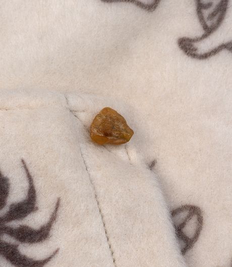 Pūga73 JK Fleece Cream/Brown