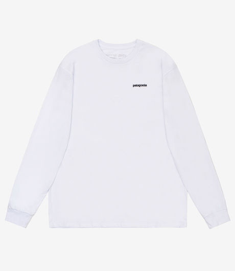 Polar Skate Co. Leaves and Window Long Sleeve T Shirt Rust