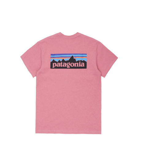 Patagonia Men's P-6 Logo Responsibili-Tee® Sticker Pink