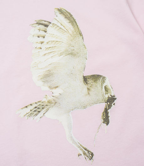 Fucking Awesome Owl Tee Pink