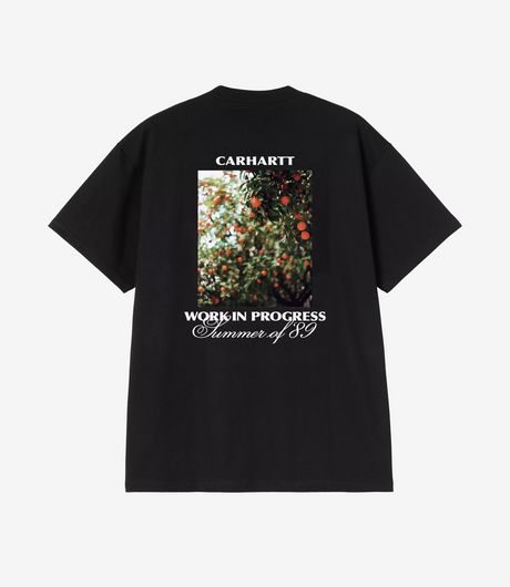 Carhartt WIP S/S Warm Views T-Shirt Black