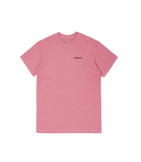 Patagonia Men's P-6 Logo Responsibili-Tee® Sticker Pink
