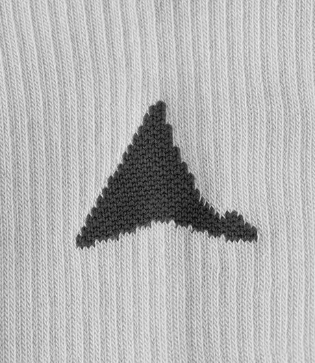ROA Logo Biofil Socks Light Grey