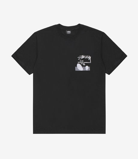 Stussy Desert Sky Tee Black