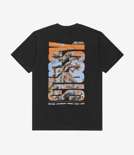 Stussy Desert Sky Tee Black