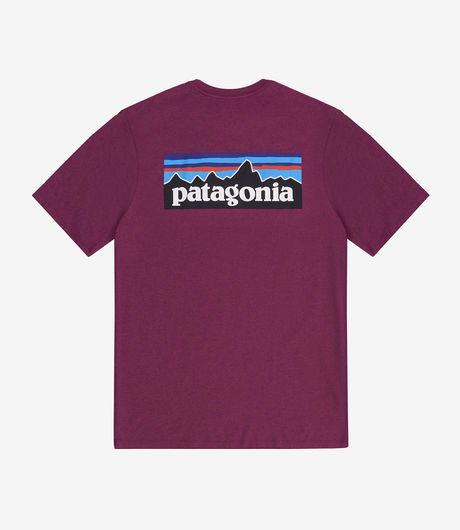 Patagonia P-6 Logo Responsibili-Tee® Star Pink