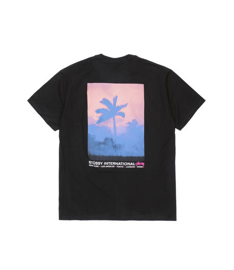 Stussy Fire Palm Tee Black