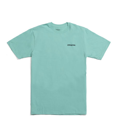 Patagonia Men's P-6 Logo Cotton T-Shirt Galah Green