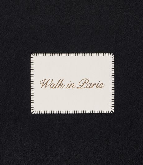 Walk In Paris Classic Wool Scarf Black