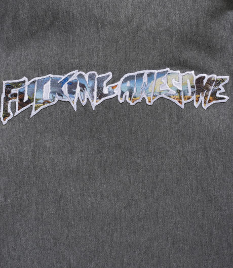 Fucking Awesome Extinction Hood Grey Heather