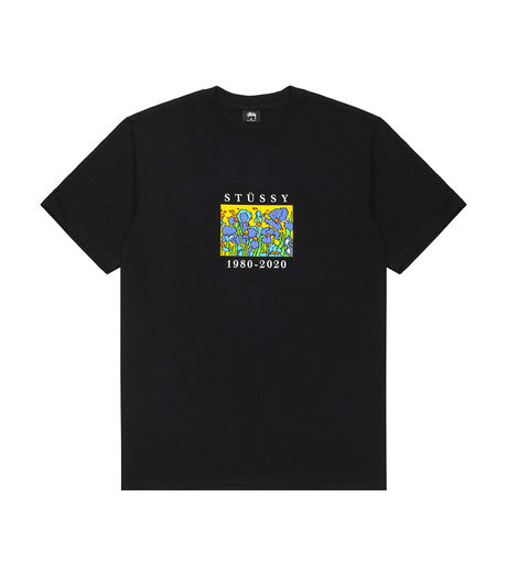 Stussy Irises Tee Black