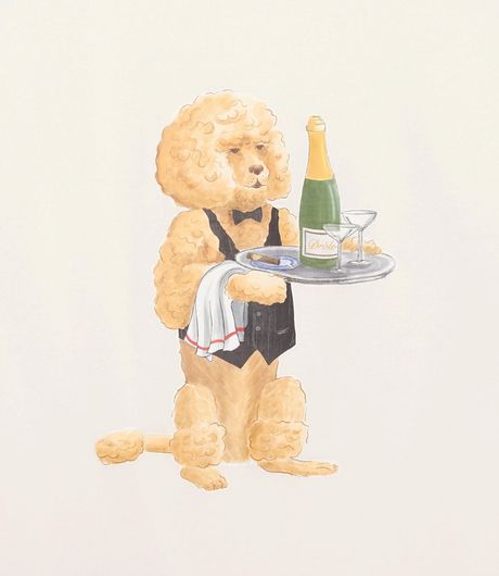 Drôle de Monsieur Le T-Shirt Poodle Off White
