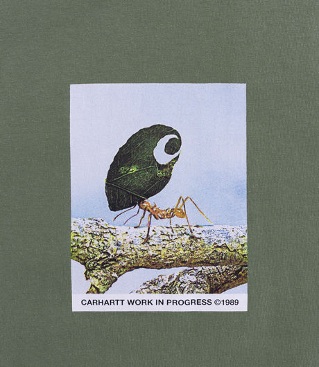Carhartt WIP S/S Antleaf T-Shirt Dollar Green