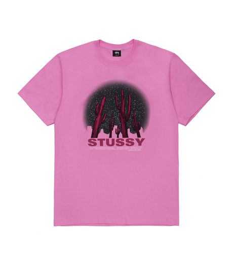 Stussy Saguaro Tee Pink