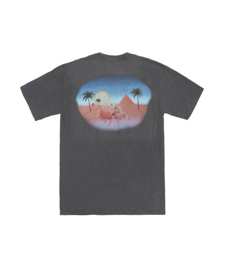 Stussy Oasis Pig. Dyed Tee Black