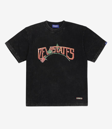 Devá States T-shirt Eternal Washed Black
