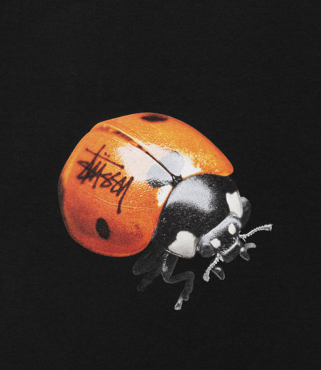 Shop Stussy Ladybug Tee Black at itk online store