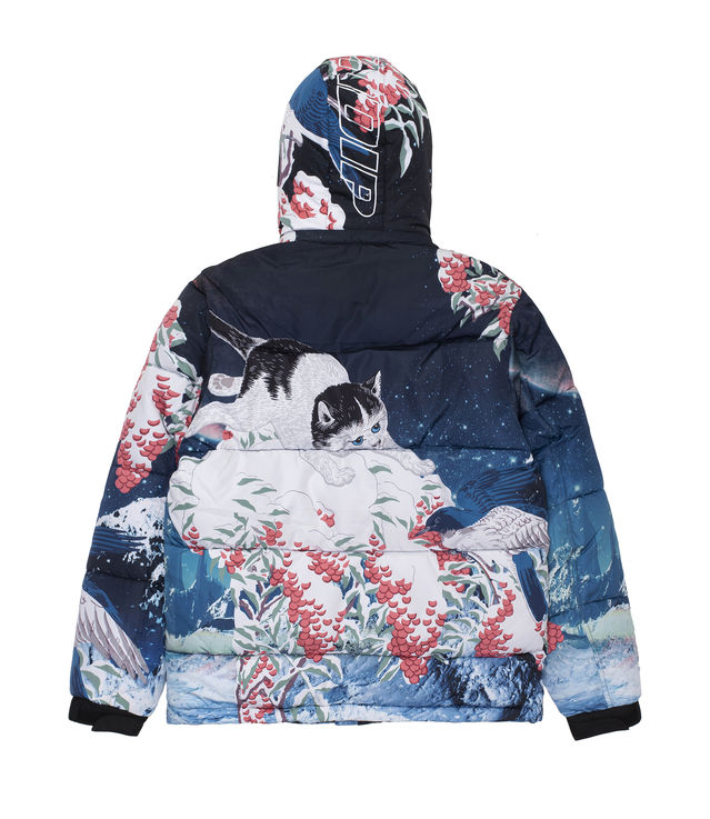 Ripndip winter jacket online