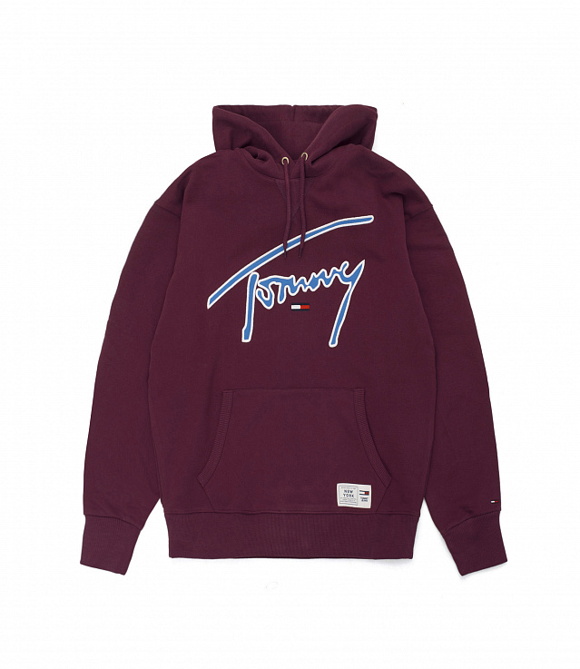 tommy jeans xplore signature hoodie